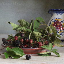 Схема вышивки «Ежевика»