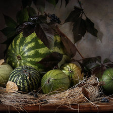 Схема вышивки «Арбузы»