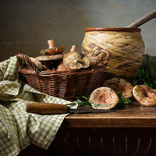 Схема вышивки «Сыроежки»