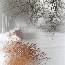 Схема вышивки «№2512821»