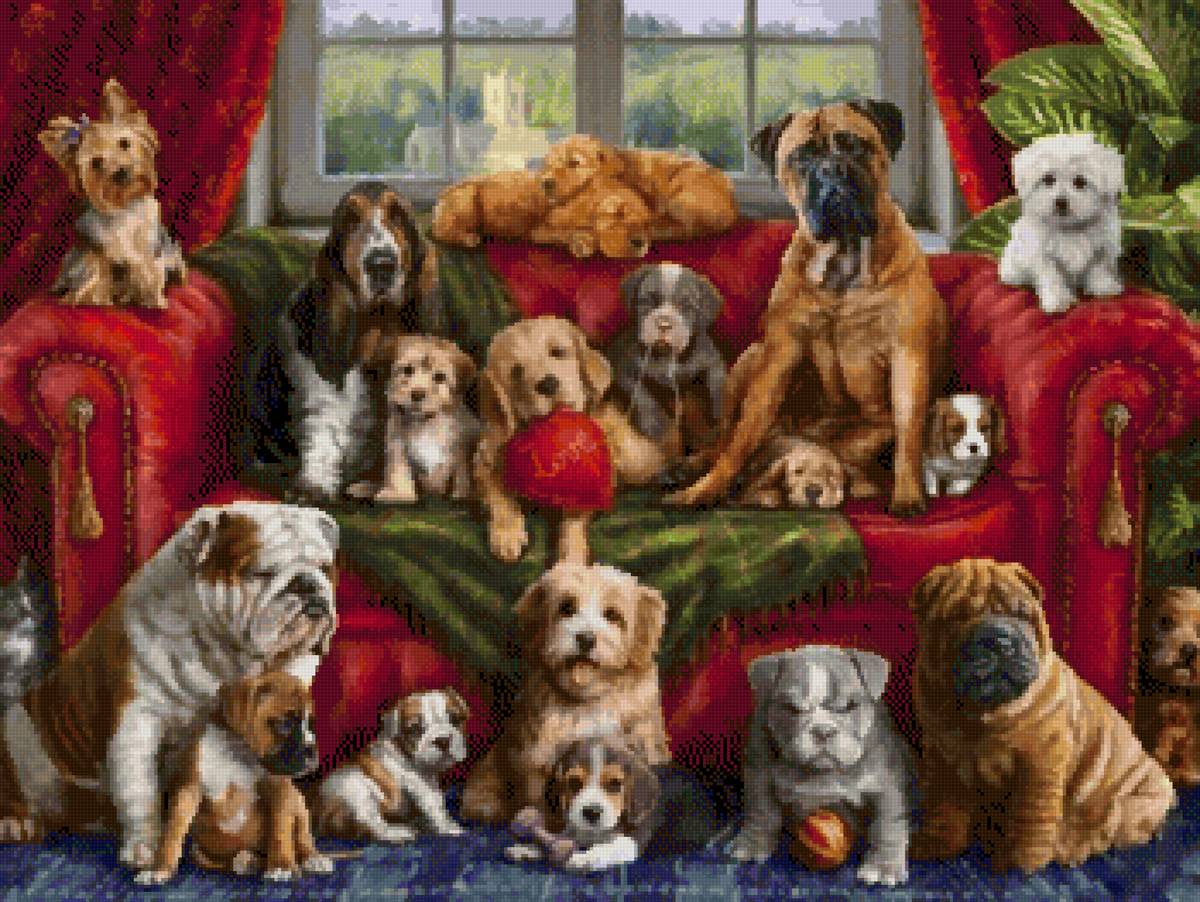 Собака - животные - предпросмотр