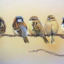 Схема вышивки «ВОРОБЬИ»