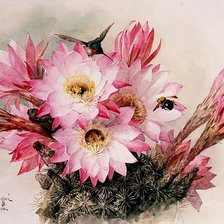 Схема вышивки «Кактус»