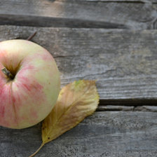 Схема вышивки «Яблоко»