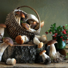 Схема вышивки «Грибная пора»