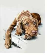 Схема вышивки «249х342»