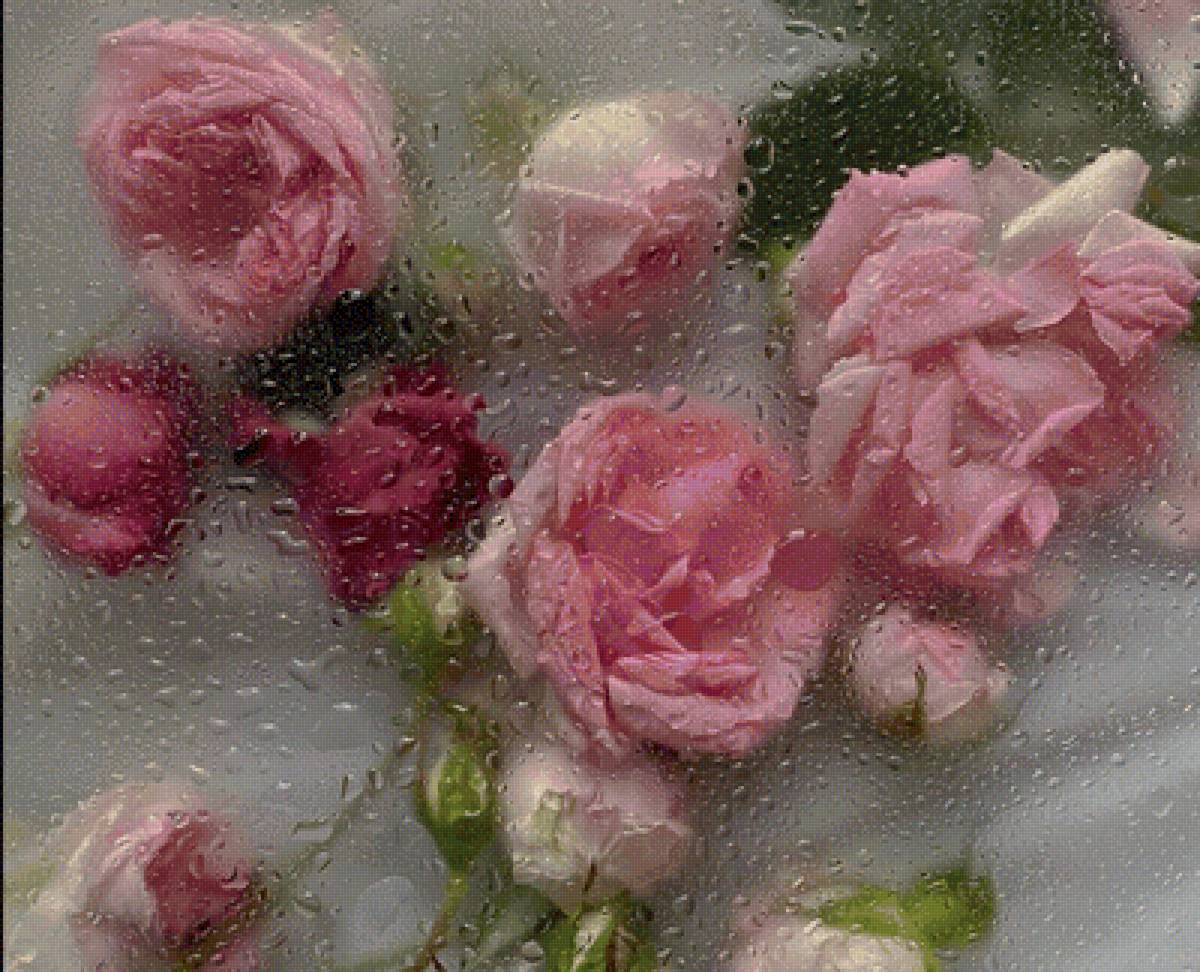 Розы - цветы - предпросмотр