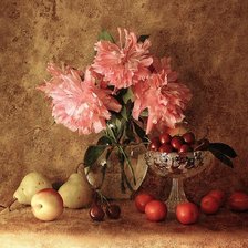 Схема вышивки «Пионы»