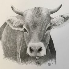 Схема вышивки «№2514316»