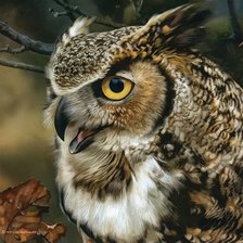 Схема вышивки «№2514425»