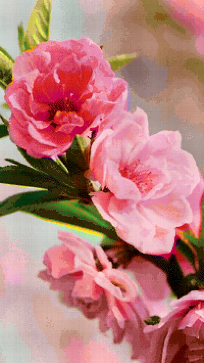 Цветы. - цветы. - предпросмотр