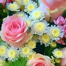 Схема вышивки «Розы.»