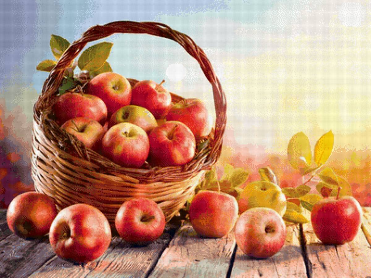 Яблоки. - натюрморт, яблоки. - предпросмотр