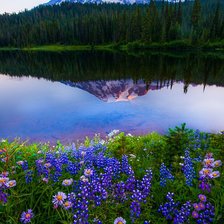 Схема вышивки «пейзаж.»