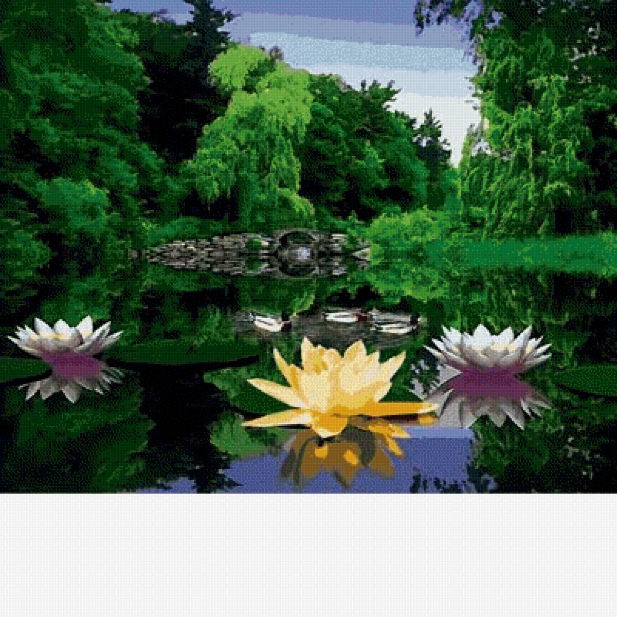 Озеро. - пейзаж., озеро, цветы - предпросмотр