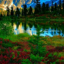 Схема вышивки «озеро.»