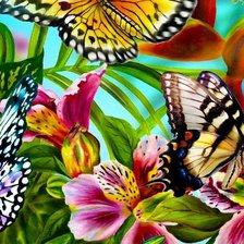 Схема вышивки «Бабочки.»