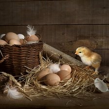 Схема вышивки «Чудо»