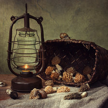 Схема вышивки «Сморчки»