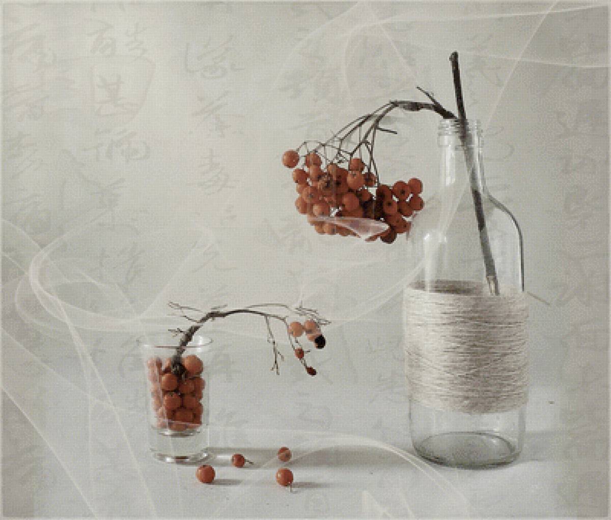 Рябина - рябина, натюрморт, ягоды - предпросмотр