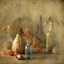 Схема вышивки «Физалис»