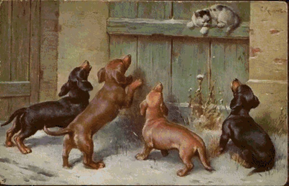 №2515685 - таксы - предпросмотр