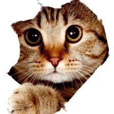 Схема вышивки «№2515906»