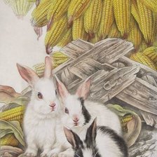 Схема вышивки «№2516031»