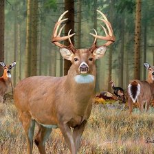 Схема вышивки «№2516472»