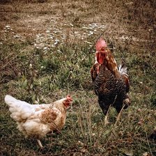 Схема вышивки «Свидание»