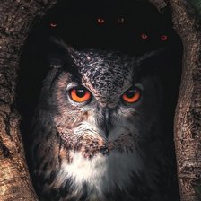 Схема вышивки «№2516921»