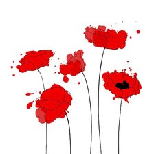 Схема вышивки «Маки»