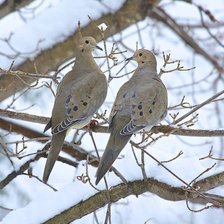 Схема вышивки «№2517339»