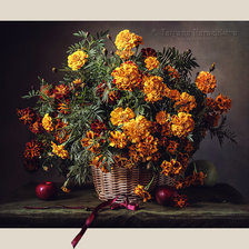 Схема вышивки «Бархатцы»