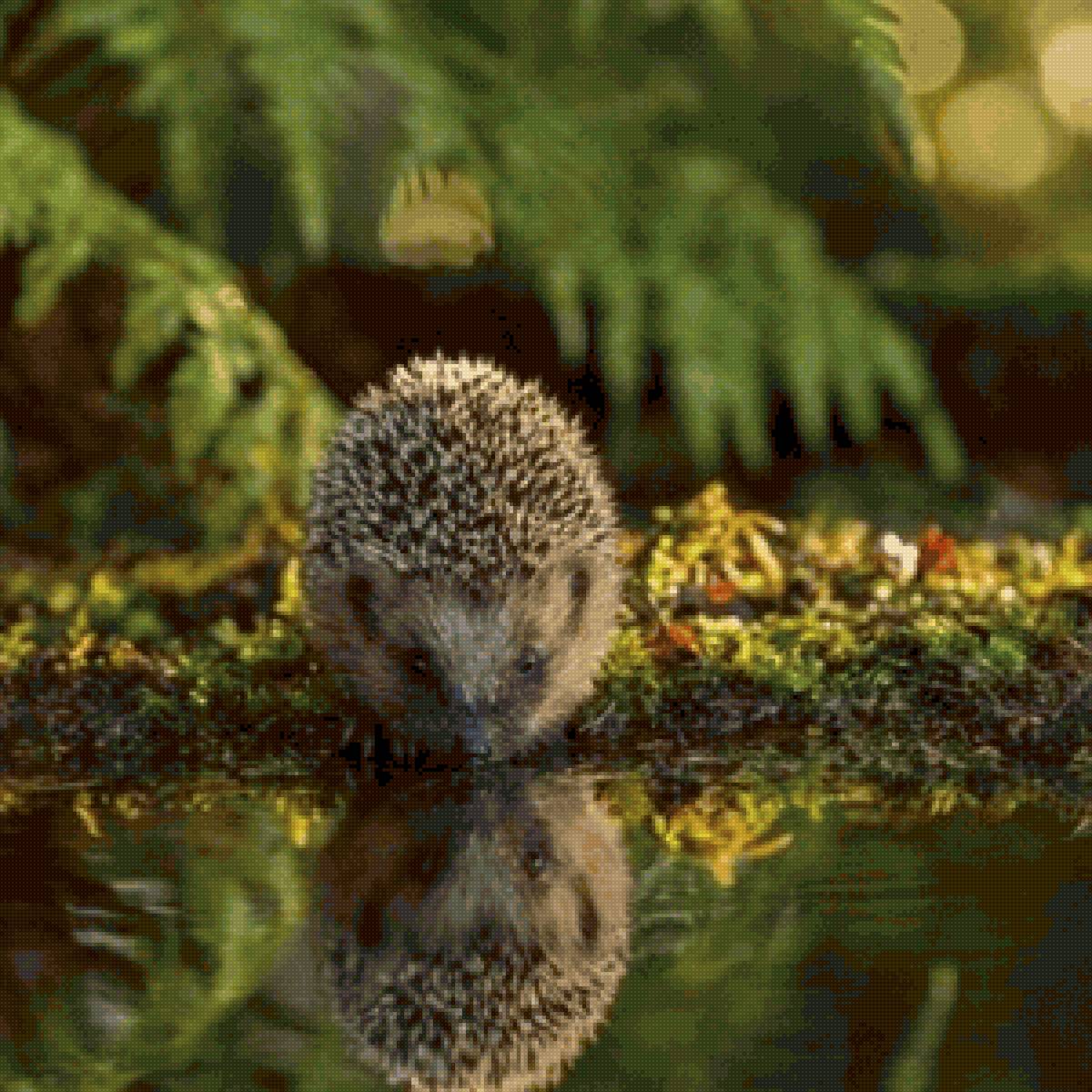 Ёжик - ежик - предпросмотр