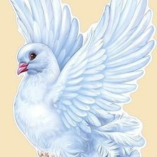 Схема вышивки «Голубь»