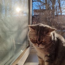 Схема вышивки «Вегас»