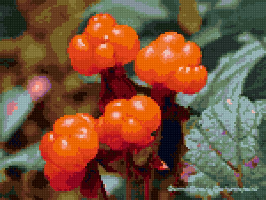 морошка - предпросмотр