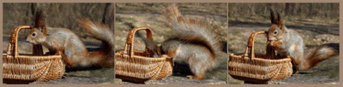 Белочка - корзина, белка - предпросмотр