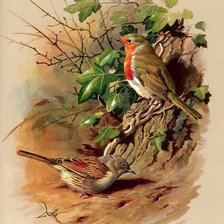 Схема вышивки «Птицы»