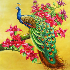 Pavo Real