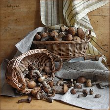 Схема вышивки «Грибная пора»