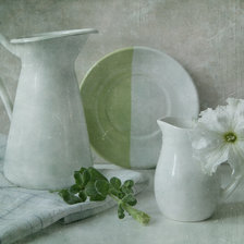 Схема вышивки «Белая петуния»