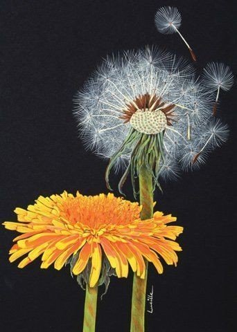 Одуванчики - лето, одуванчик - оригинал