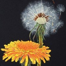 Схема вышивки «Одуванчики»