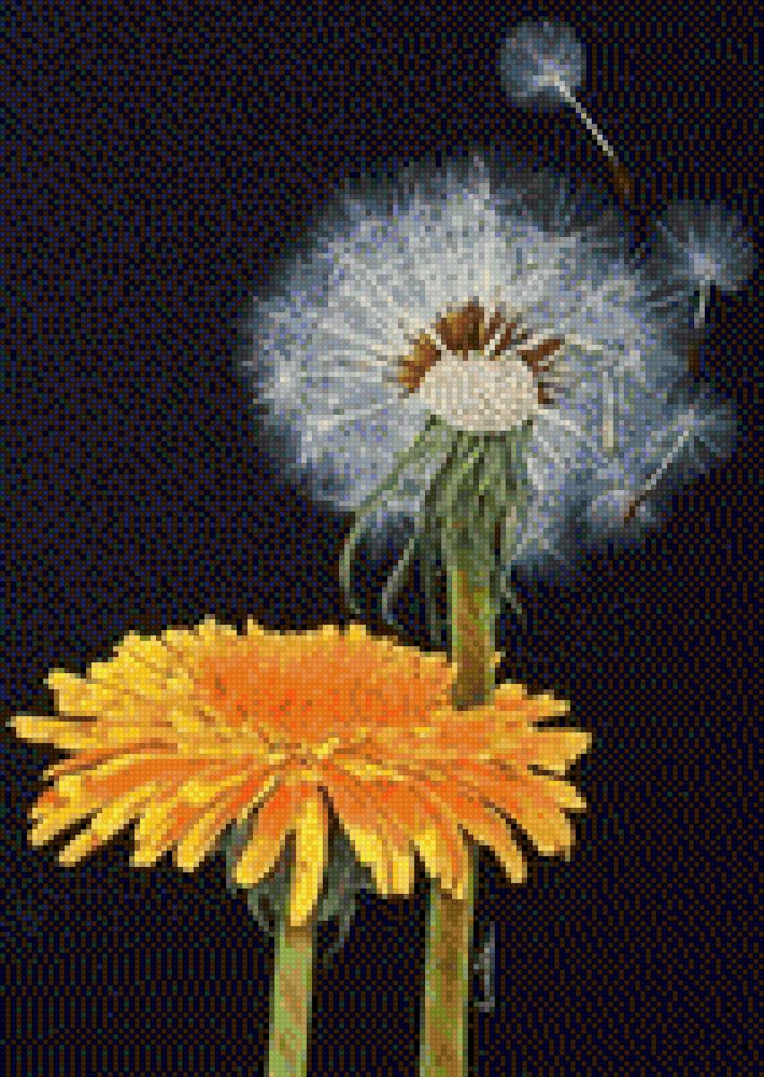 Одуванчики - лето, одуванчик - предпросмотр