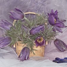 Сиреневый натюрморт