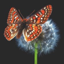 Схема вышивки «Для Антонина2824»