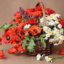 Схема вышивки «№2519703»