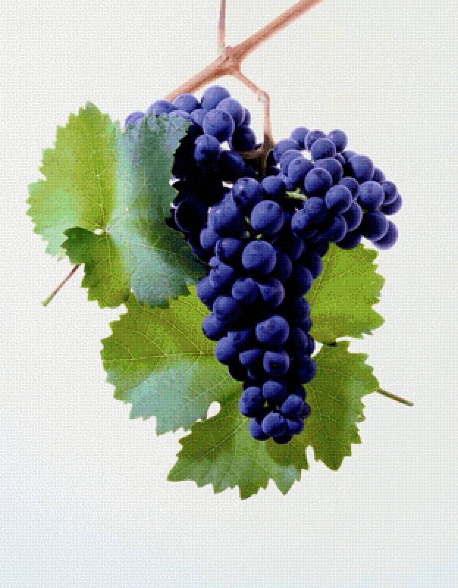 №2519773 - предпросмотр